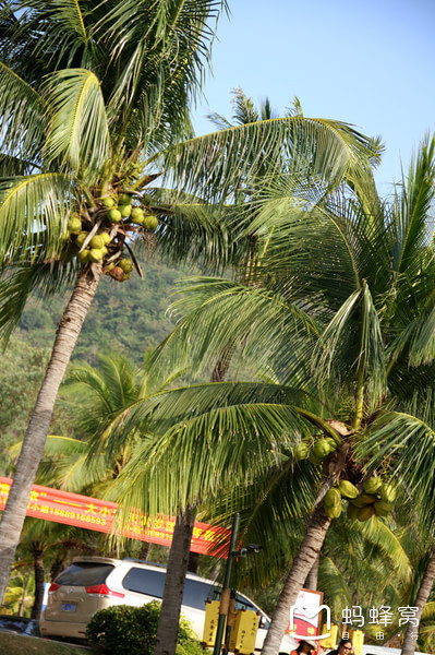 一起去三亚旅游就是最好的陪伴,三亚攻略自由行情侣