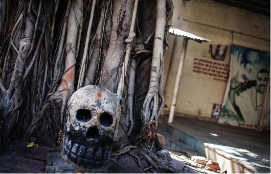 大家都是食人族的后代，现在竟有人心甘情愿被食用