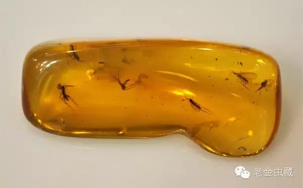 知己知彼，百战不殆——你做好应对假琥珀的准备了吗？