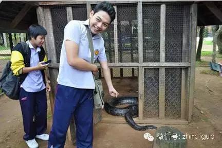 泰国变性人自述为爱变变变全历程！