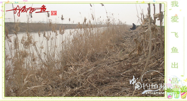 2016之我爱飞鱼觅得好钓点