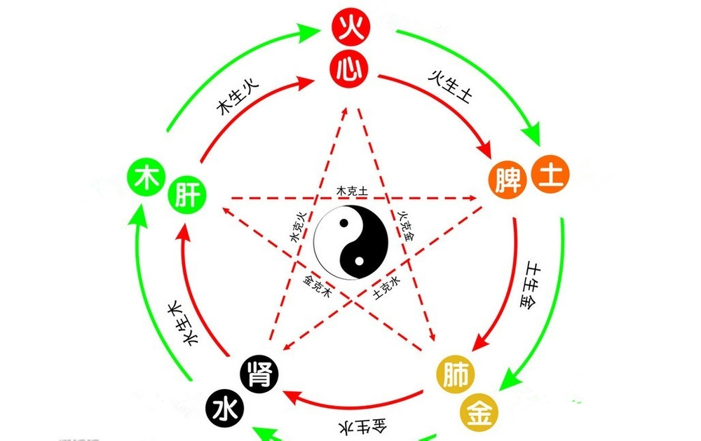 体悟汉字蕴含的智慧,感悟汉字之魂