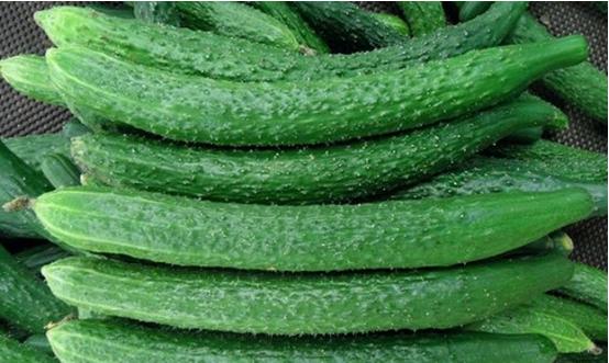 什么东西内调祛痘,怎么从内在祛痘