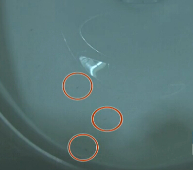 石家庄袁阿姨家马桶坏了维修人员一检查“损失惨重”