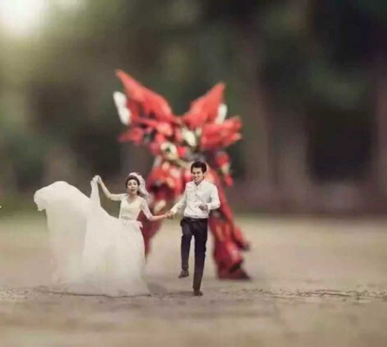 预定婚纱照要注意哪些,婚纱照预订方法