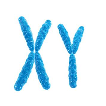 亲子鉴定的基本手段有哪些？