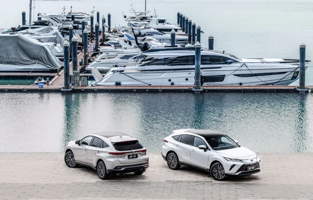 最美丰田车——广汽丰田威飒