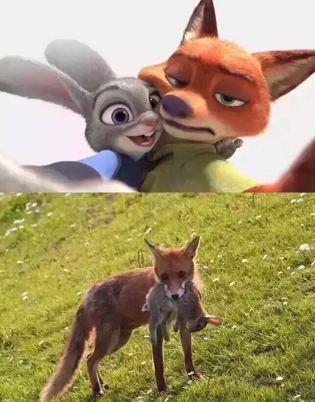 别跟我谈理想我的理想就是不上班,开心一刻上班