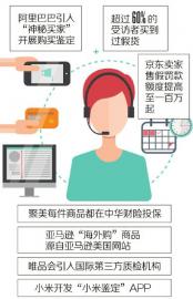 电商平台打假如何取证,电商查打假人的平台