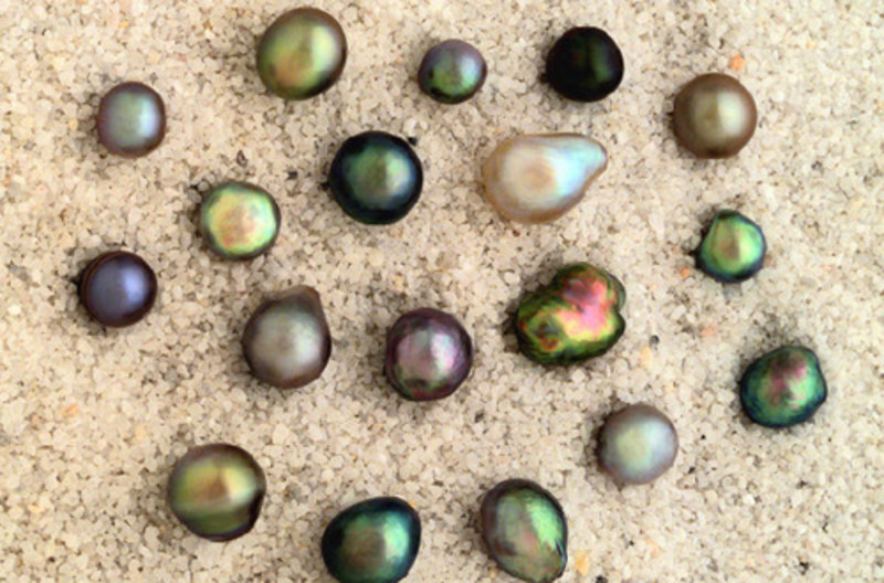 罗托鲁瓦土特产店,罗托鲁瓦费用