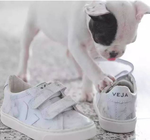 现在有什么夏天穿的好看的小白鞋 (有什么好看的百搭小白鞋)