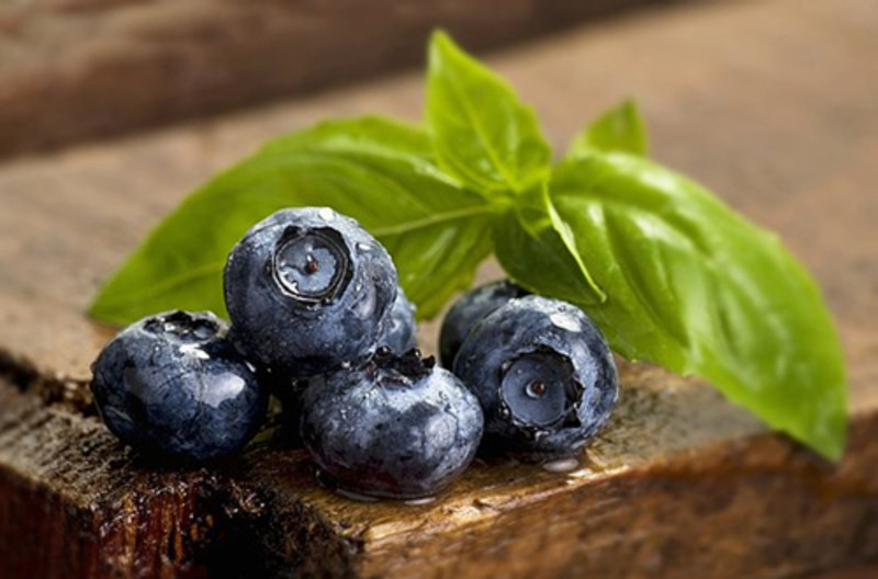 罗托鲁瓦土特产店,罗托鲁瓦费用