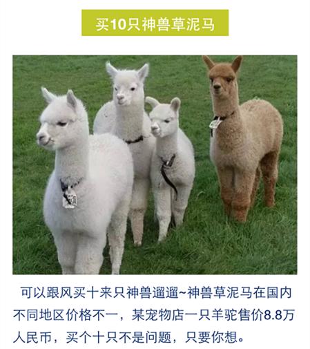 在*安泰**买套房子的钱，出国能干点啥？看完心酸！