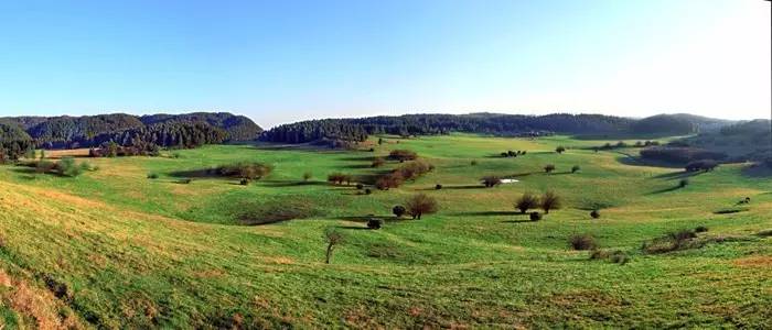 2022免重庆门票景区详细名单公布,重庆免费18个景区