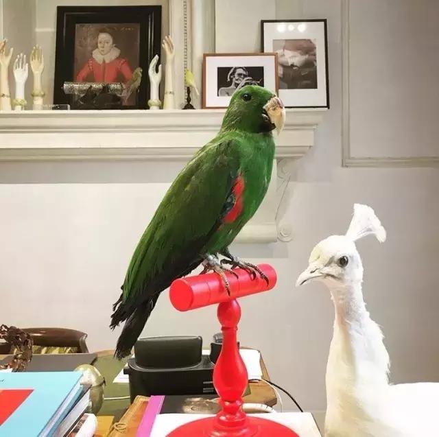 gucci家具设计图,gucci家居设计