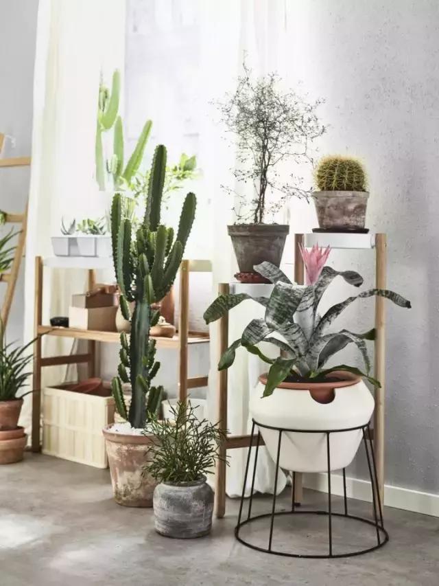 宜家2018年《家居指南》出炉了，700多款新品大揭秘