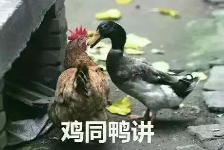 中国有冰箱吗？“美国知乎”现奇葩提问，中国网友又开始花样骗人