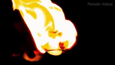 百年前的新材料，烧光了万千妇女的秀发，却拯救了大象推动了摄影