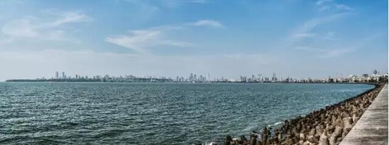 和海豚一起玩的地方,与海豚接触的地方