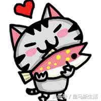 海口外卖烤鱼哪家好吃,海口好吃的鱼店