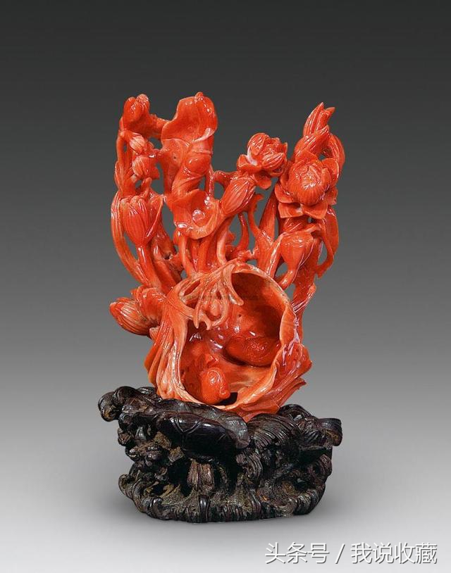 珊瑚珠子50万左右,红珊瑚一百多万的