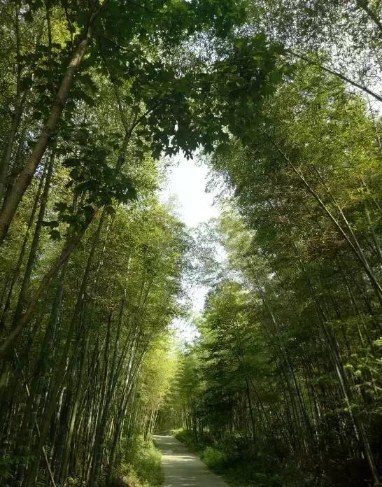 四川有没有凉快的地方,四川很凉快吗