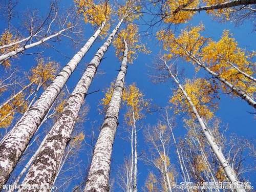 散文诗大全100首经典朗诵,100篇名家经典散文800字