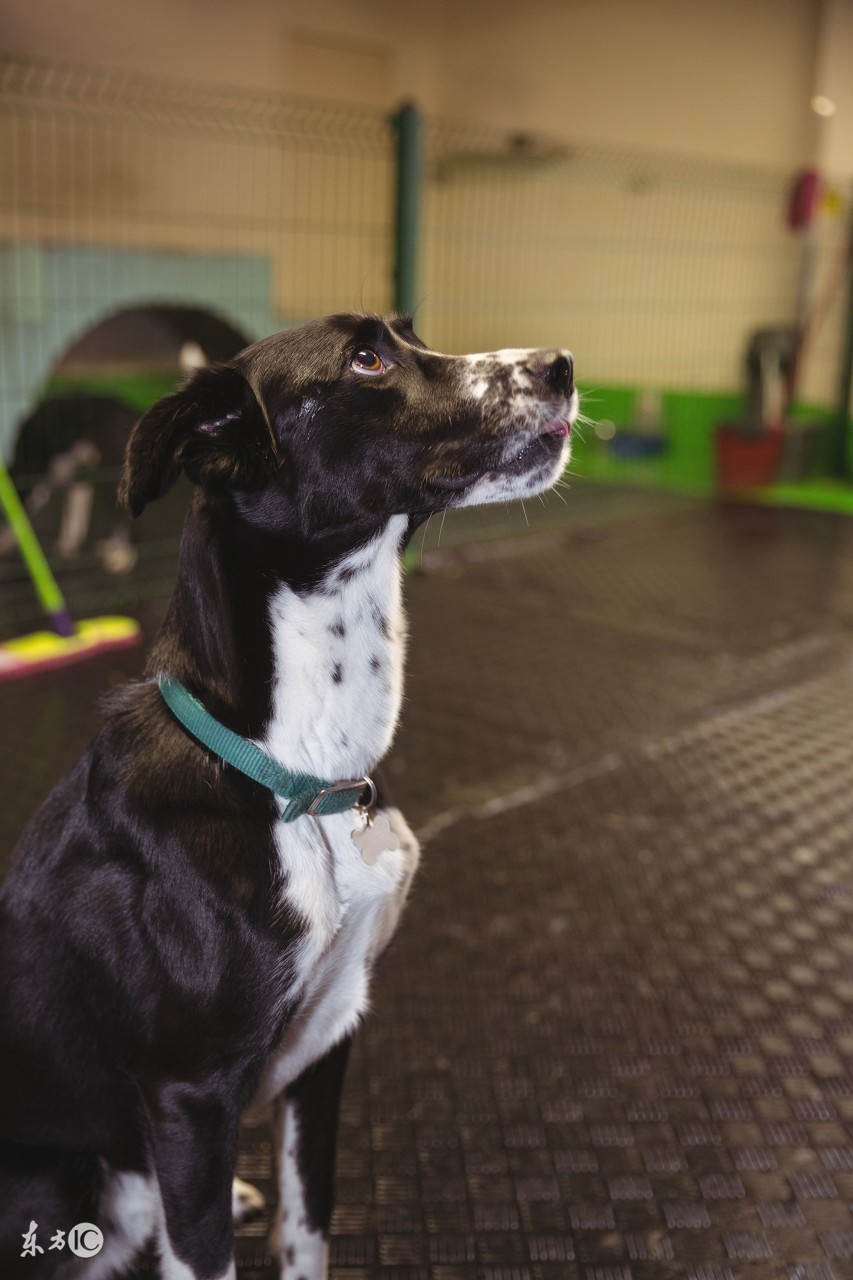 缘妙不可言是什么意思,缘妙不可言电视剧全集观看