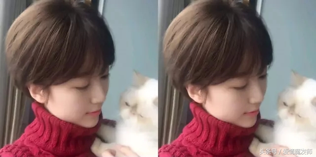 仙气的短发造型,好看时髦又有仙气短发