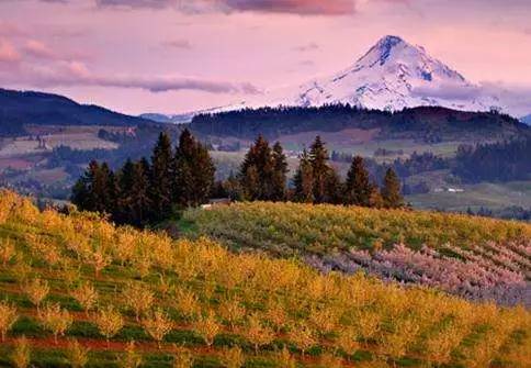 枫叶旅游拍照技巧,春季赏枫叶拍照技巧
