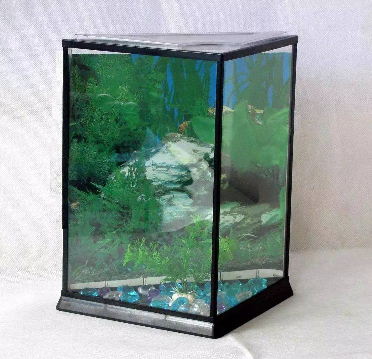 家里摆鱼缸数量有什么讲究,属马属蛇的家里怎么摆鱼缸