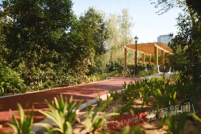 洛阳新开游园,洛阳很美的公园
