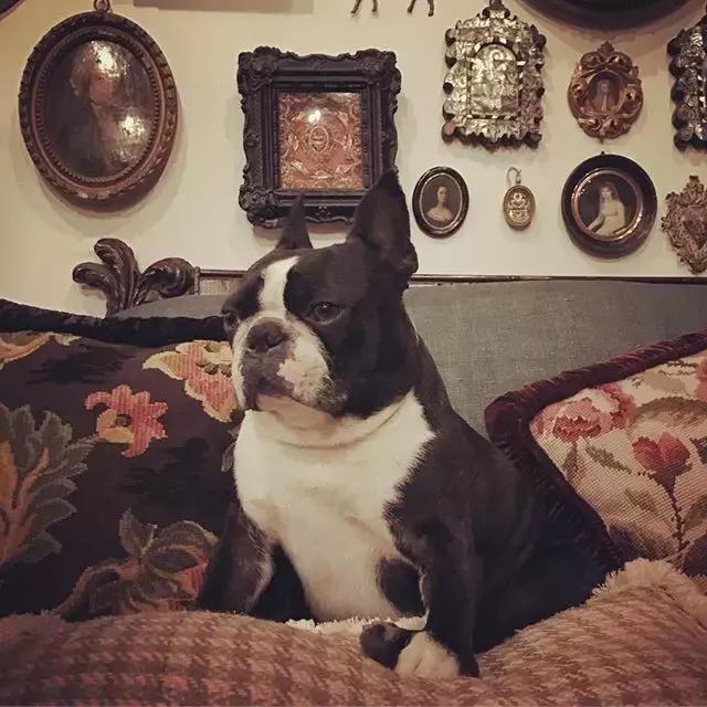 gucci家具设计图,gucci家居设计