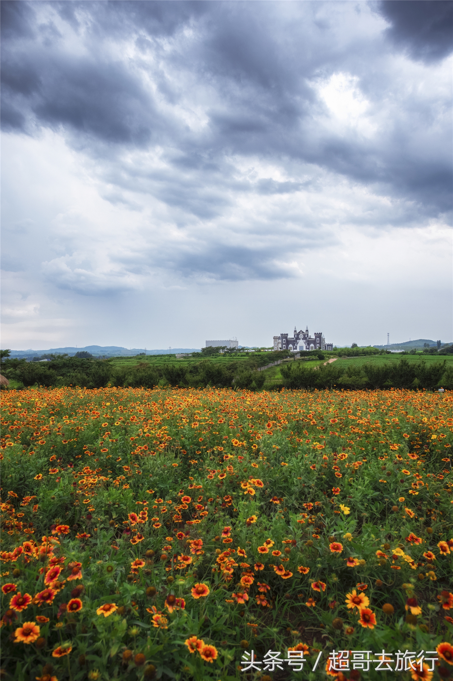日照花仙子风景区团购,日照花仙子风景区为什么拆了