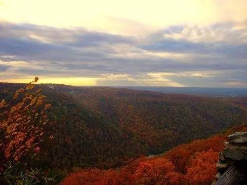 枫叶旅游拍照技巧,春季赏枫叶拍照技巧