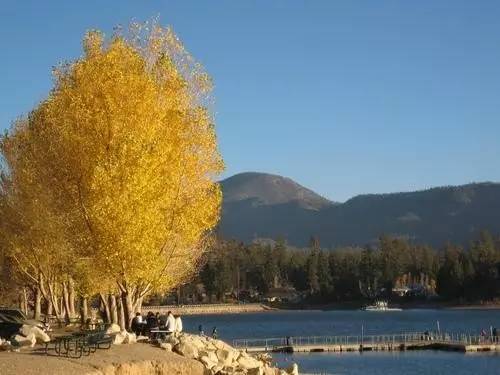 枫叶旅游拍照技巧,春季赏枫叶拍照技巧