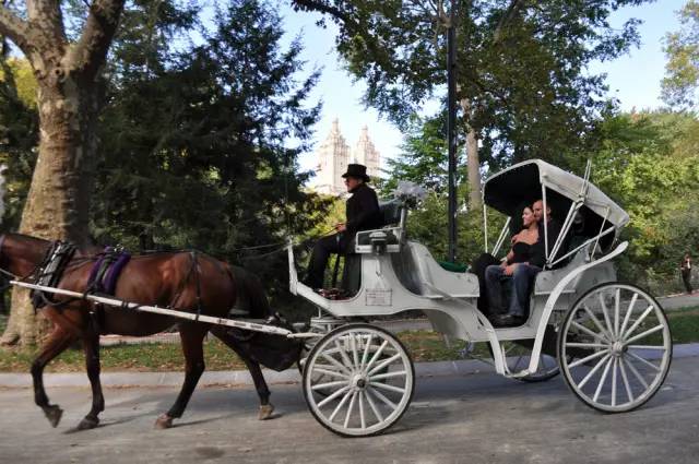 枫叶旅游拍照技巧,春季赏枫叶拍照技巧