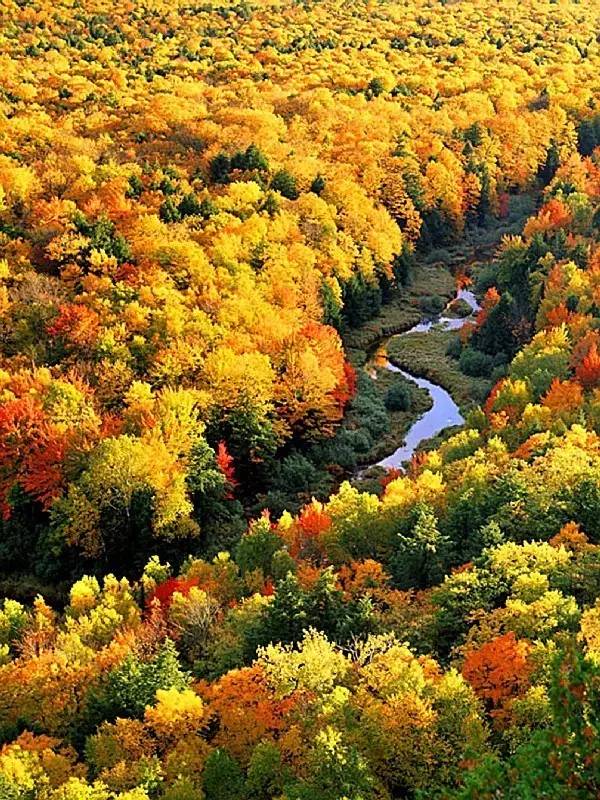 枫叶旅游拍照技巧,春季赏枫叶拍照技巧