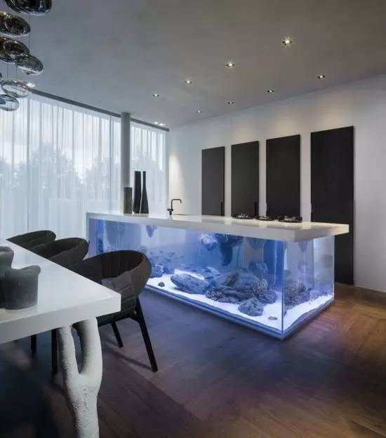 家里摆鱼缸数量有什么讲究,属马属蛇的家里怎么摆鱼缸