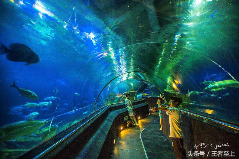 越南最美山庄,越南最美的桃源