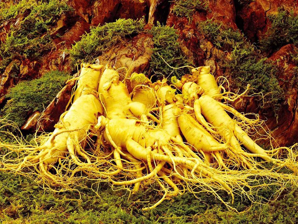 补虚三兄弟，你是不是真的了解？