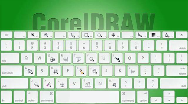 psai智能识别填充快捷键,ps和ai快捷键