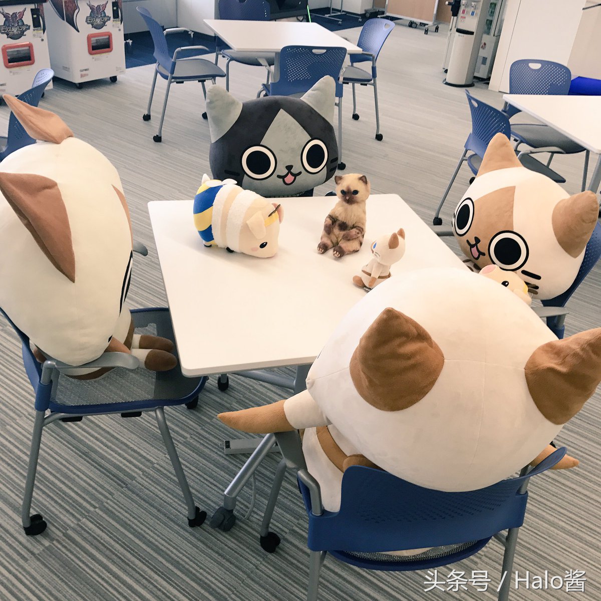 怪物猎人艾露猫孙悟空,怪物猎人艾露猫