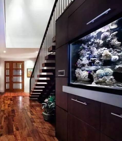 家里摆鱼缸数量有什么讲究,属马属蛇的家里怎么摆鱼缸