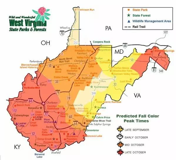 枫叶旅游拍照技巧,春季赏枫叶拍照技巧