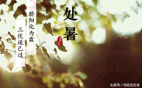 处暑节气养生药膳菜品,处暑节气养生小技巧有哪些