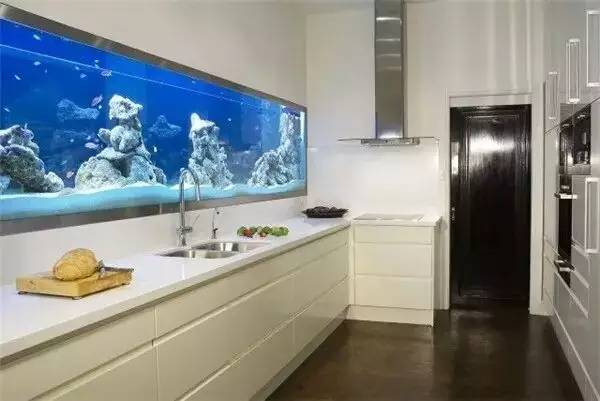 家里摆鱼缸数量有什么讲究,属马属蛇的家里怎么摆鱼缸