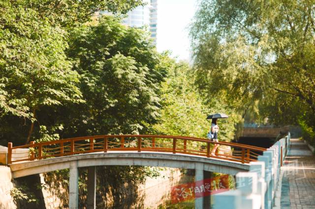 洛阳新开游园,洛阳很美的公园