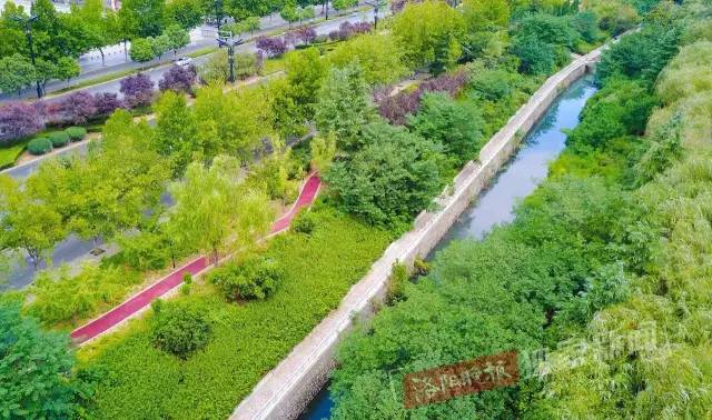 洛阳新开游园,洛阳很美的公园