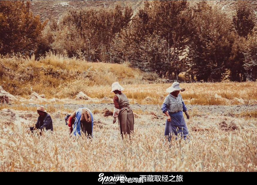 开辆超跑去*藏西**！最后看看几百万的奥迪R8破成啥样了？